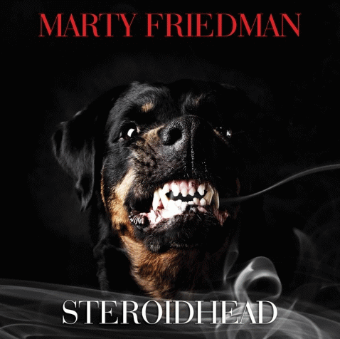 Marty Friedman : Steroidhead